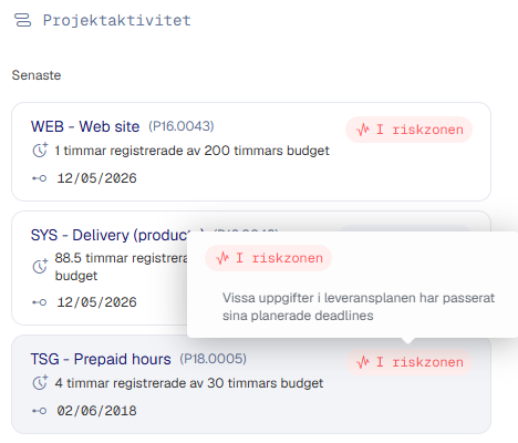 Customer overview project activity 2 SE