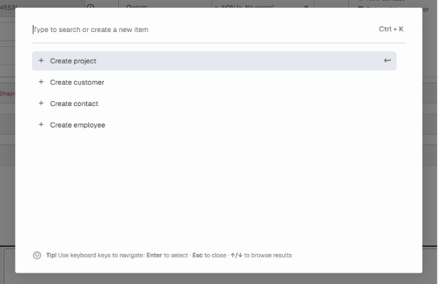 Initial search UI with options to create new project, customer, contact and employee